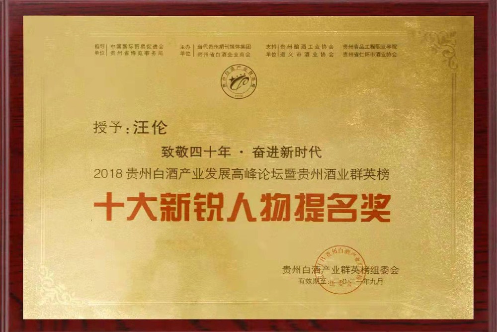 十大新锐人物提名奖